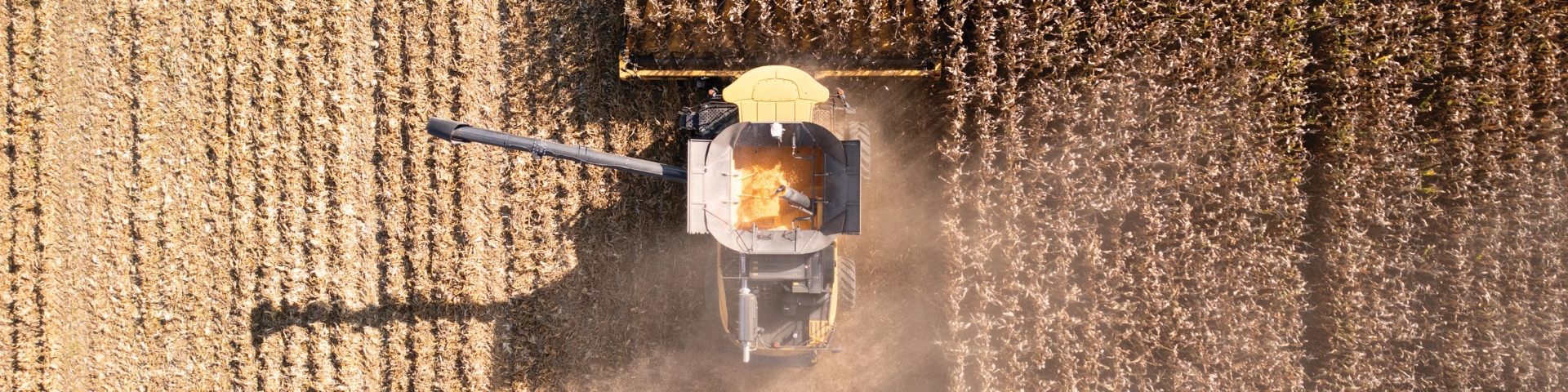 Combine harvesting in a field.