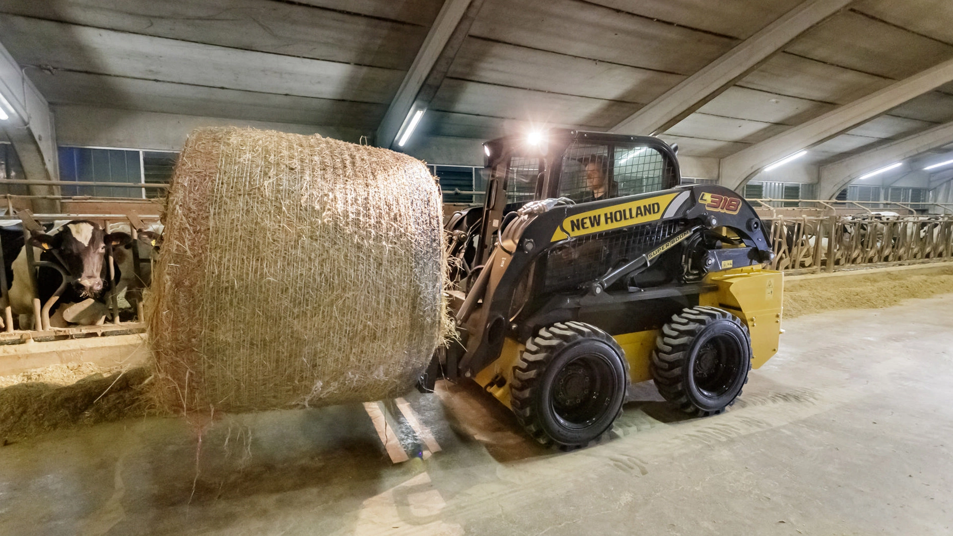 New Holland Skid Steer Loader moving hay bale in dairy barn with cows.