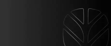 New Holland leaf logo