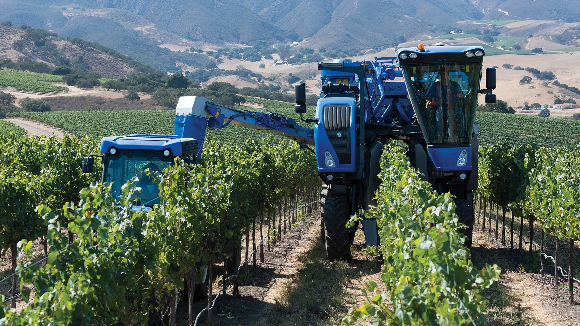 Braud 9090X Grape Harvesting Machine on the field