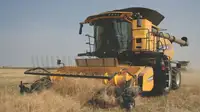 engineer-returns-to-alberta-foothills-to-farm-gallery-01.jpg