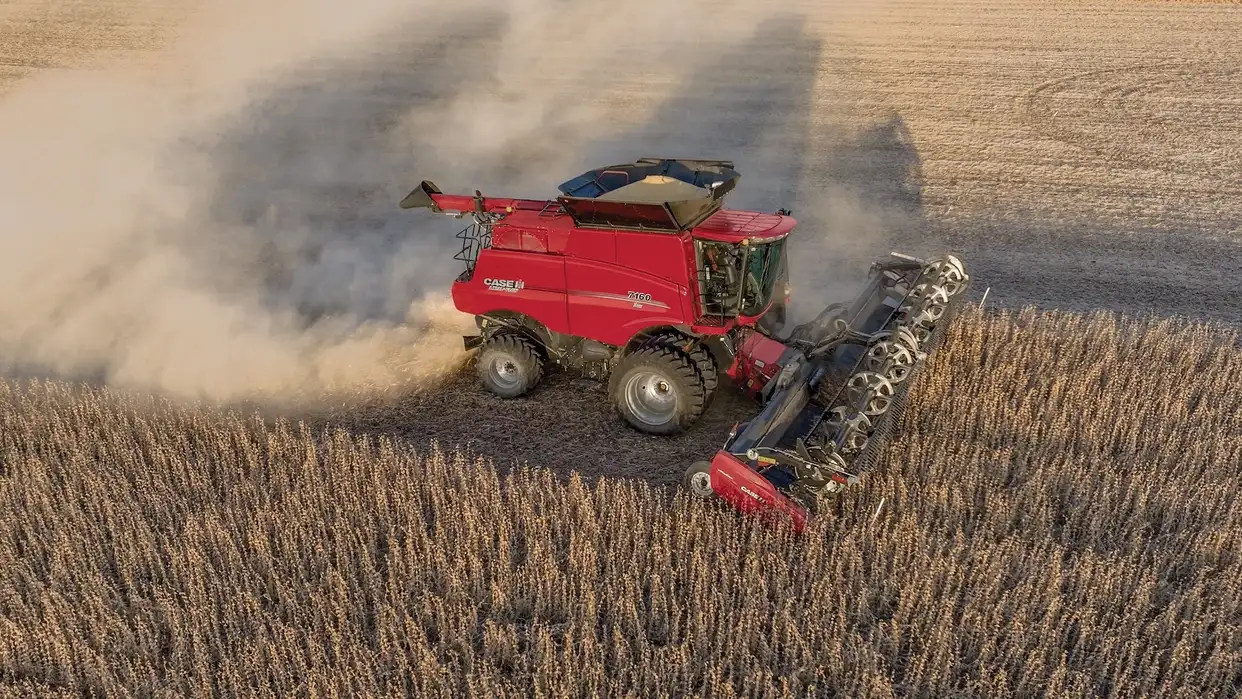A red Case IH combine harvester cuts through a golden grain field, kicking up dust as its header gathers crops in warm evening light.
