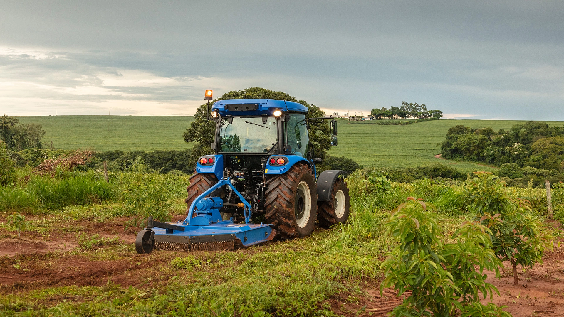 Trator T4.75S New Holland | Compacto, Potente e Versátil | New Holland BR