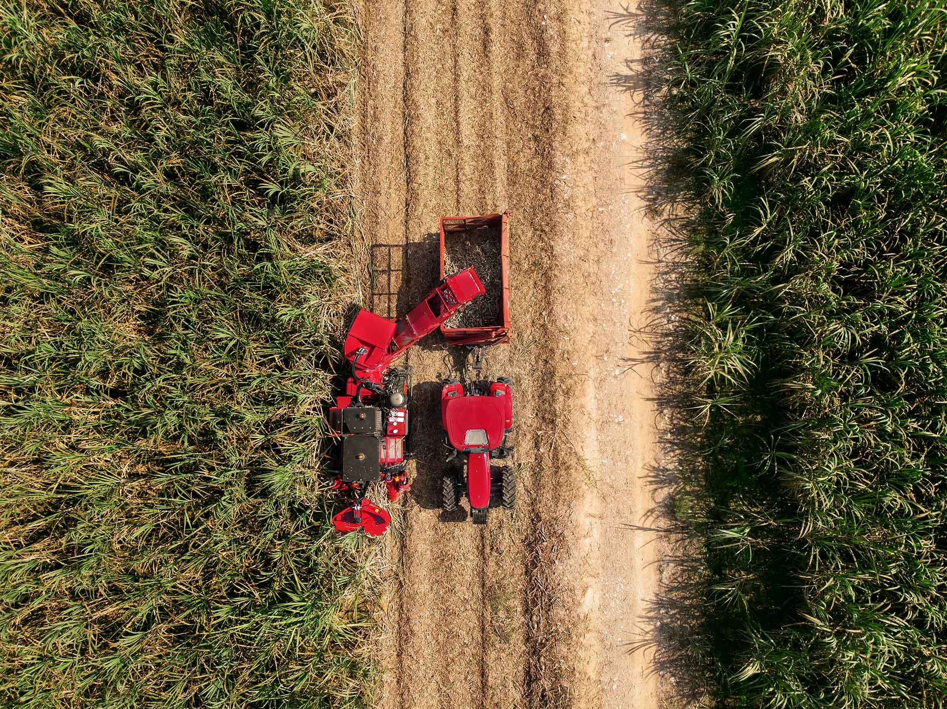 Austoft_4000_sugarcane_harvester_with_tractor_5