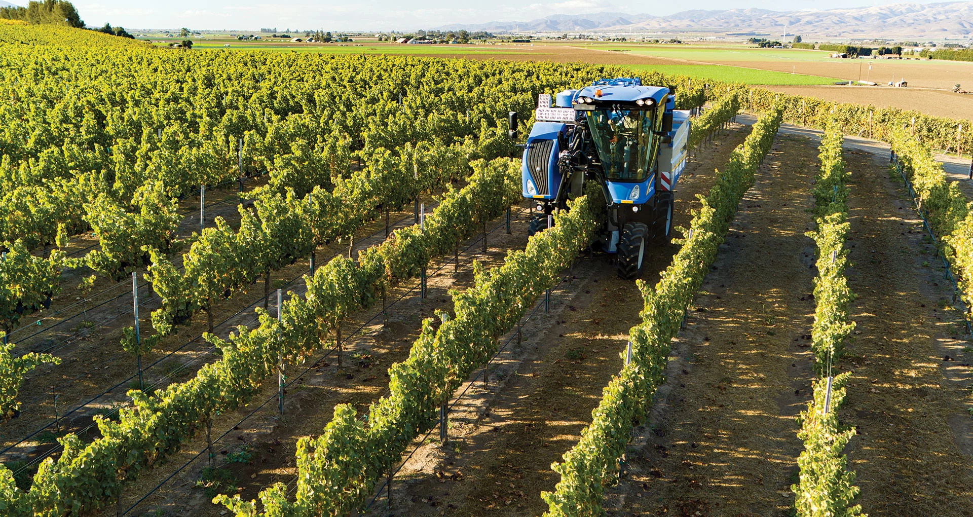 Braud High-Capacity Grape Harvesters