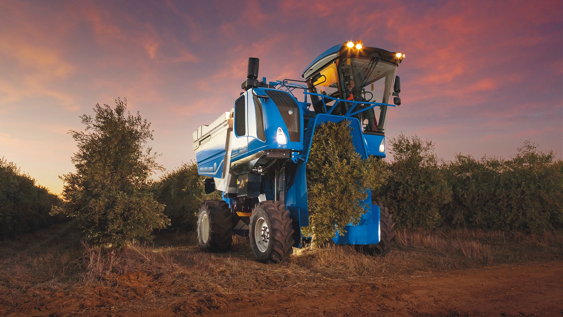 Braud 10.90X Olive Harvester working at Night