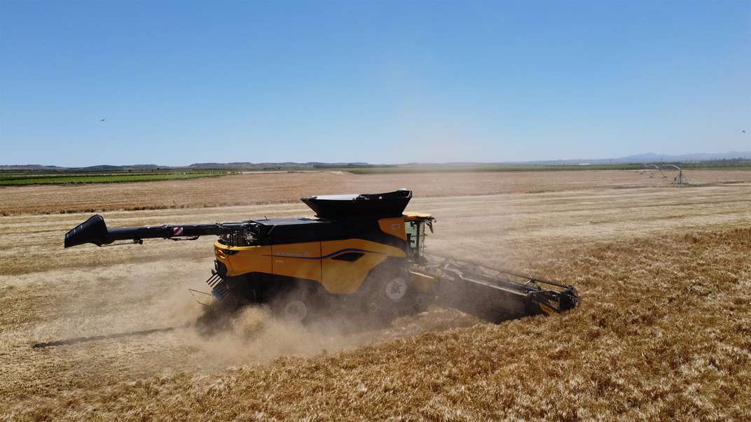 La revolución de la recolección ya está aquí: las primeras New Holland CR11 debutan en los campos de España