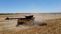La revolución de la recolección ya está aquí: las primeras New Holland CR11 debutan en los campos de España
