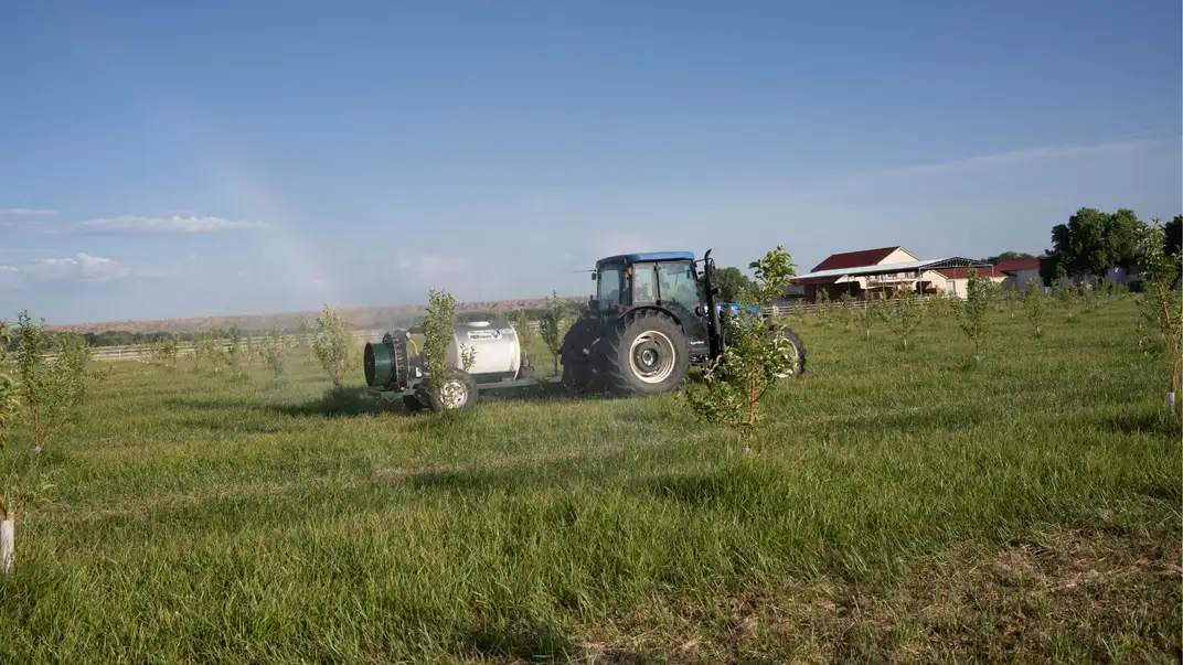 New Holland Tractor spraying trees in a field with a rainbow.