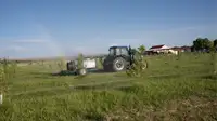 New Holland Tractor spraying trees in a field with a rainbow.