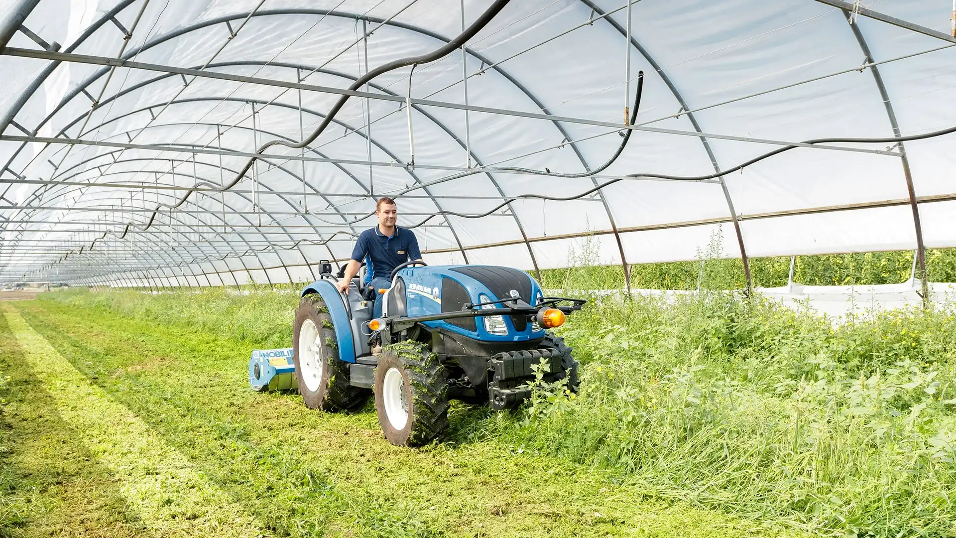 Man operates T3F Compact Specialty tractor in a greenhouse