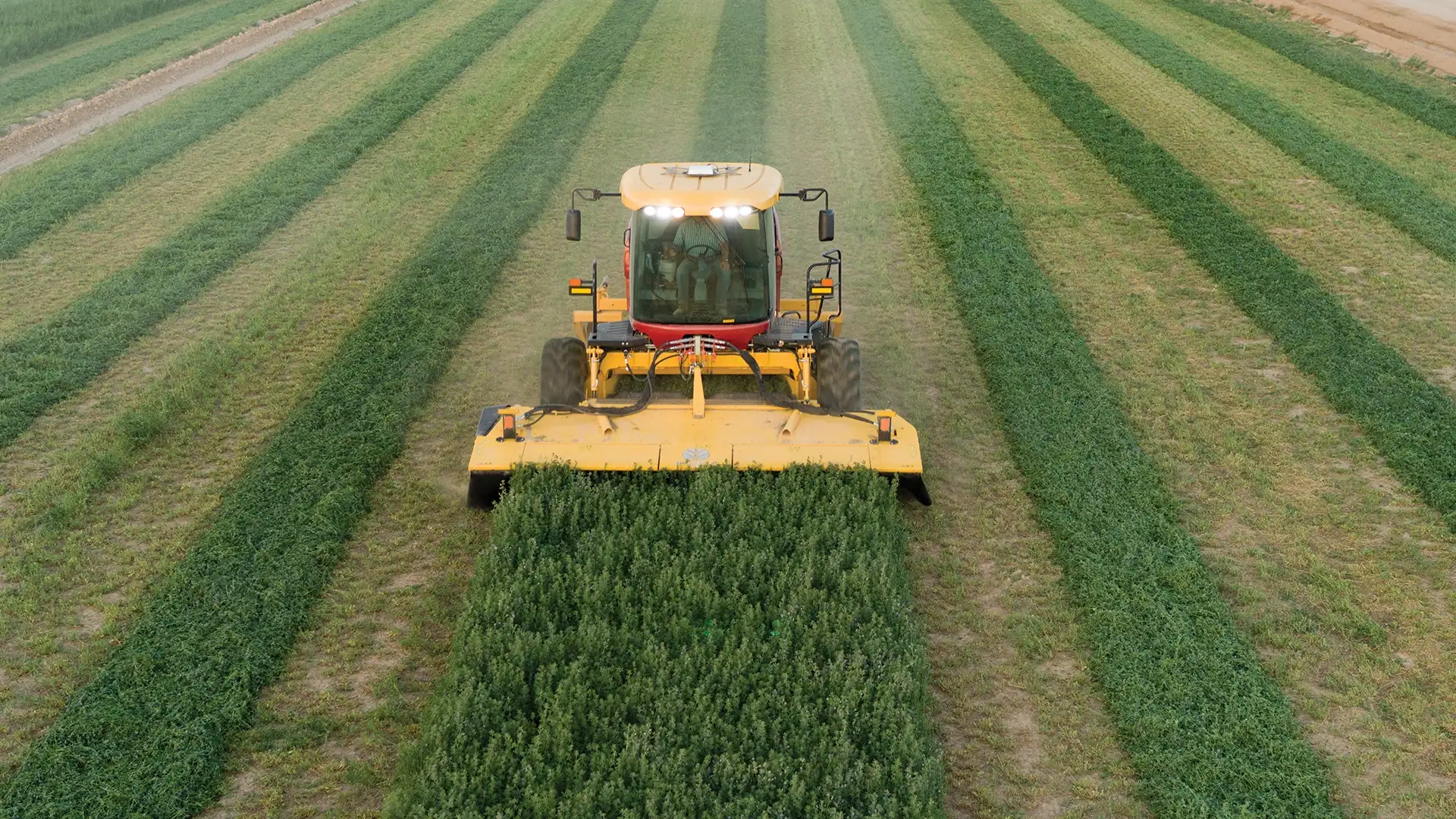 Speedrower® PLUS Self-Propelled Windrowers Media Gallery