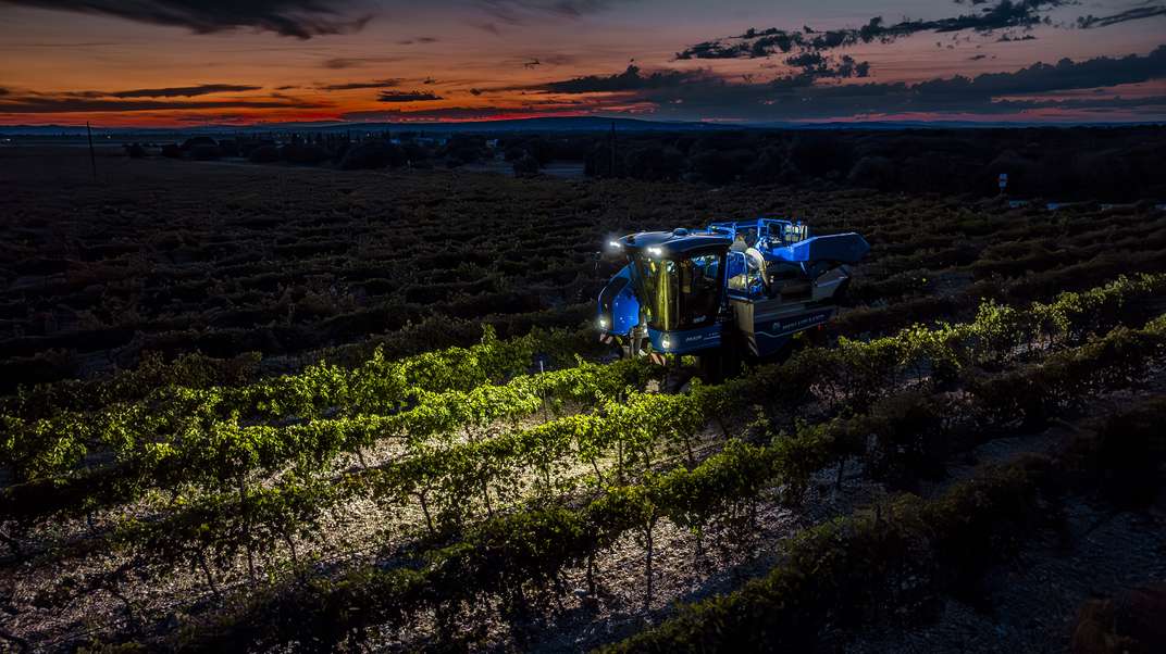 Plus de confort, de capacité, de puissance et de productivité : les nouvelles machines à vendanger compactes BRAUD de New Holland