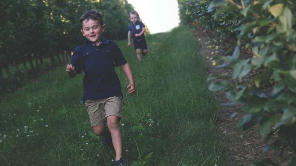 Boys run through an apple orchard