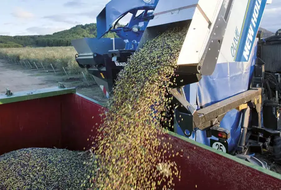 braud-9090x-olive-harvester-gallery-07