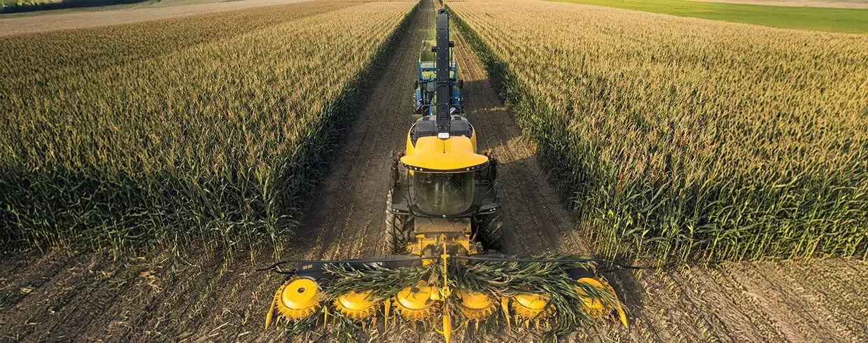 PRECISE PERPENDICULAR CROP ENTRY