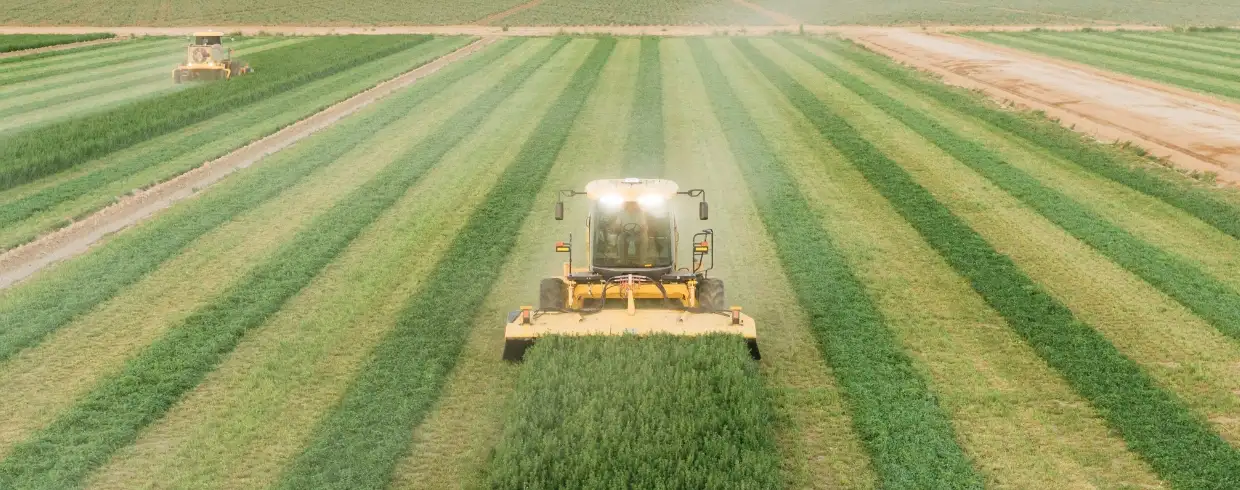 Speedrower® PLUS Self-Propelled Windrower operates in a straight line
