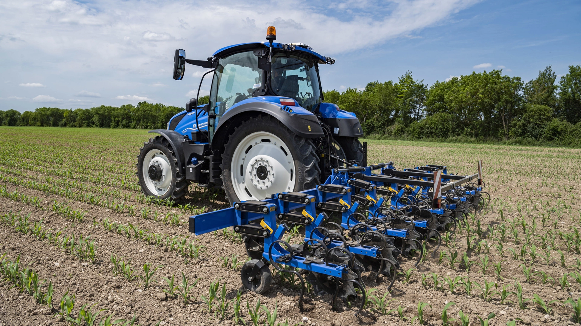 Tractor with SRC & SRC SmartSteer Interrow Cultivators in motion, cultivating the soil between green rows on a farm field