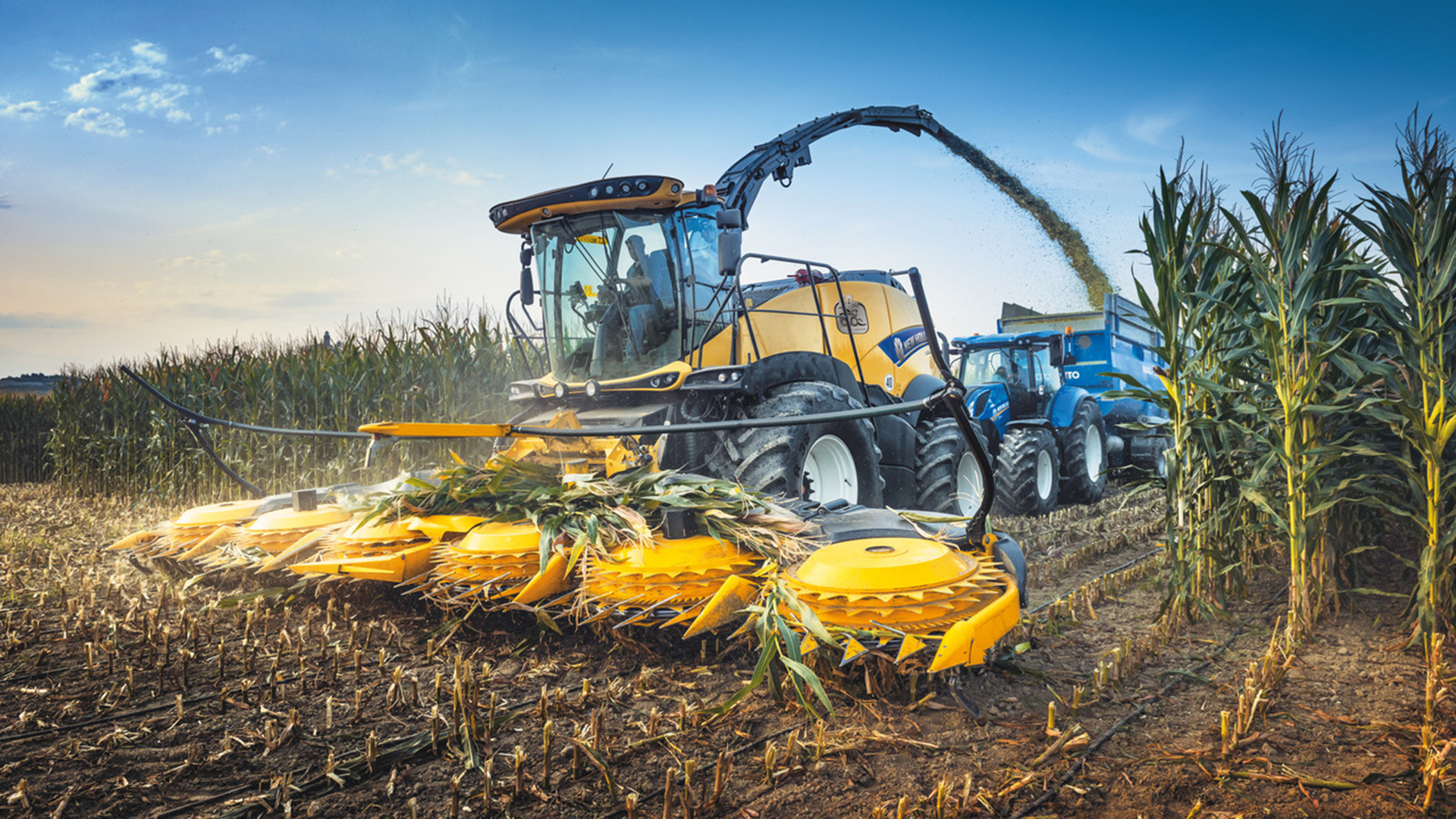 Self-Propelled Forage Harvesters | New Holland UK