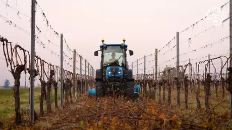 Silenziosità New T4F Auto Command™ New Holland