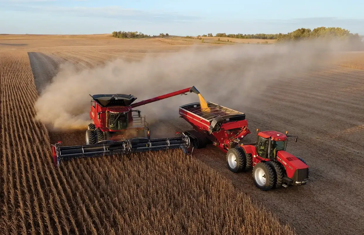 Case IH red combine harvesters unload grain into a tractor-drawn wagon across a golden field, raising clouds of dusty harvest air in sunlight.