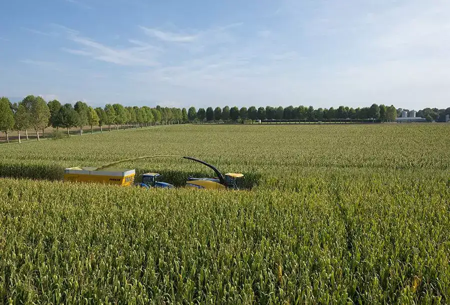 fr-forage-cruiser-gallery-01