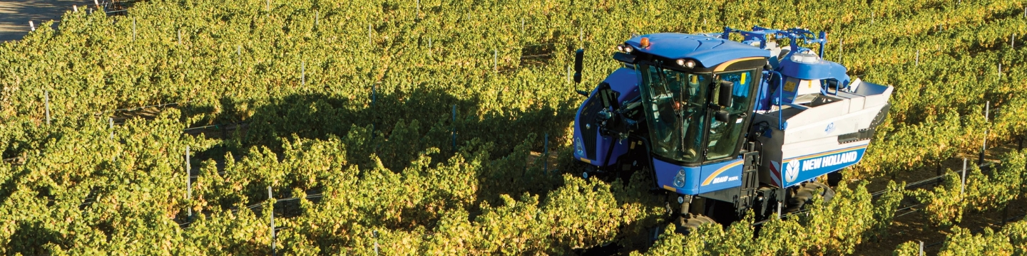 grape-and-olive-harvesters-line-page-banner.jpg