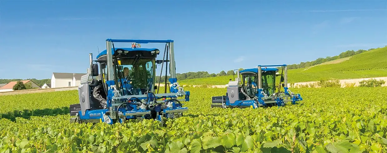 BIEN PLUS QU’UNE MACHINE À VENDANGER