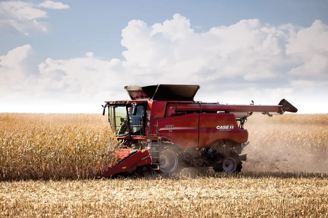Red Case IH combine harvester reaps a golden cornfield under billowing clouds, raising dust in a bright rural harvest scene.