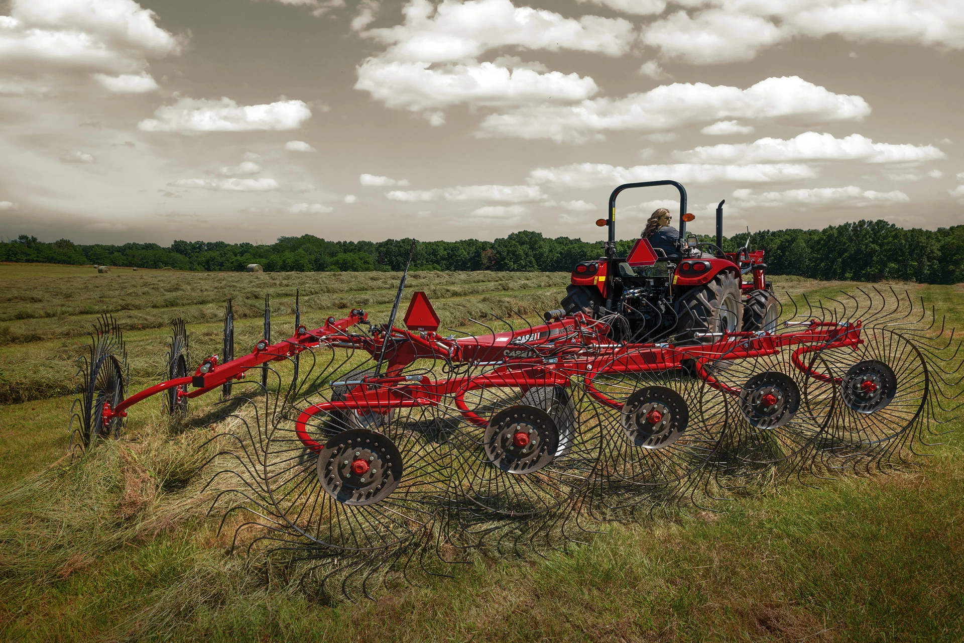 Case IH wheel rake