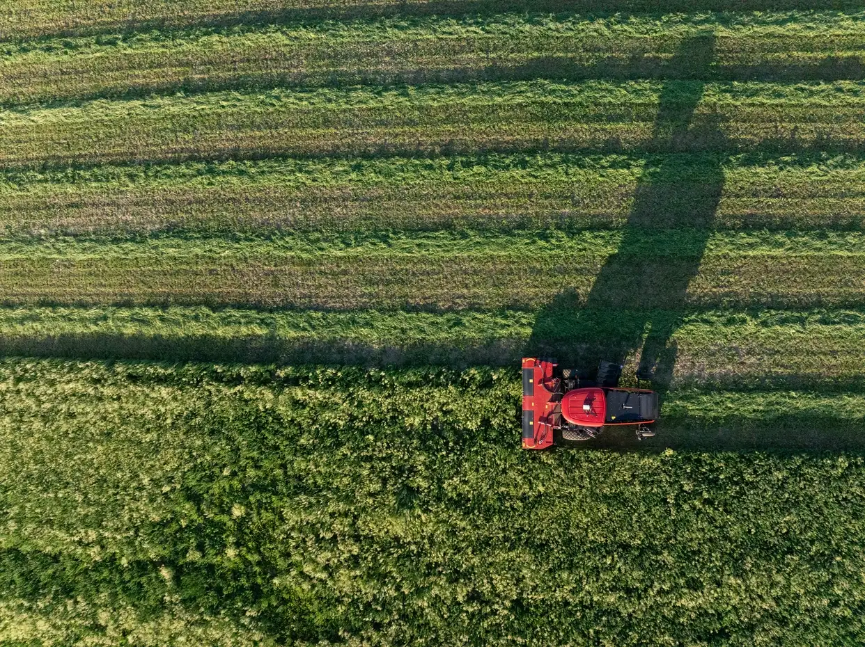 Aerial view of a Case IH red tractor harvesting a green field, its long shadow stretching across rows of crops in warm sunlight from above.