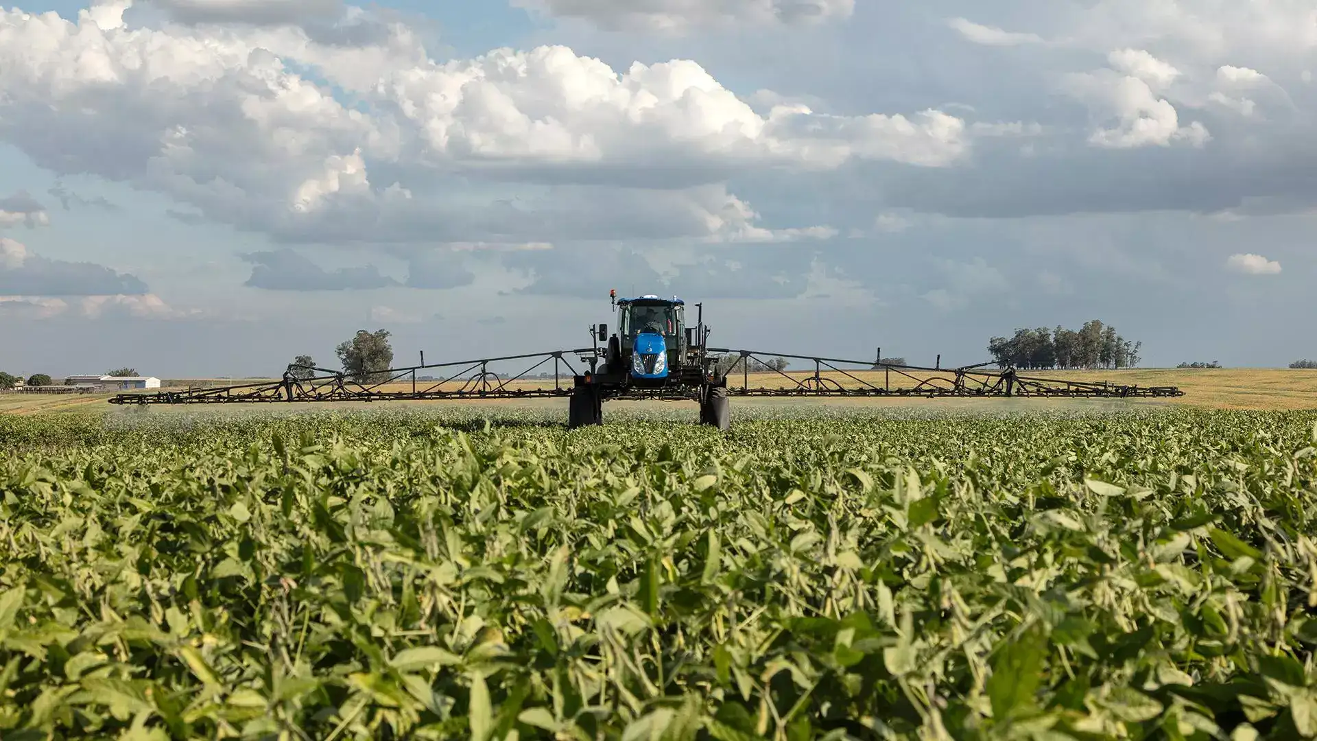 pulverizadores new holland modelo defensor 2500 em campo visão frontal com destaque na plantação