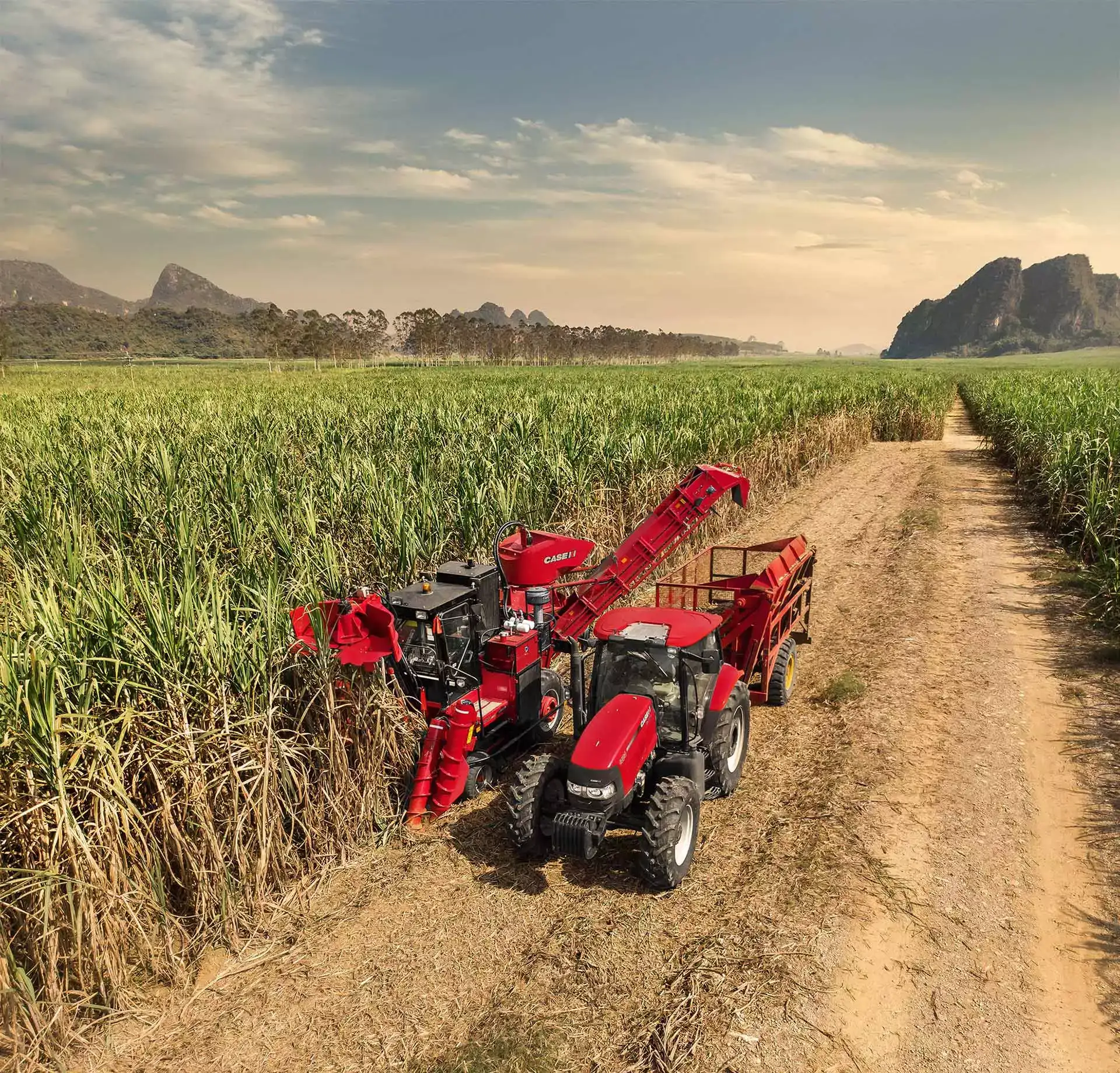 Austoft_4000_sugarcane_harvester_with_tractor