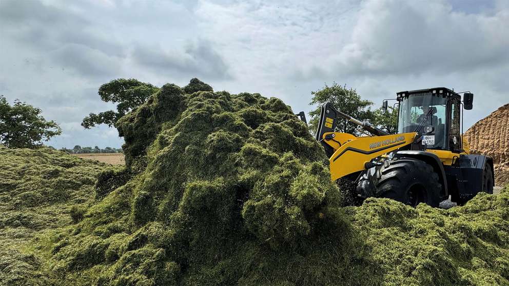 W170D+ Forage Power