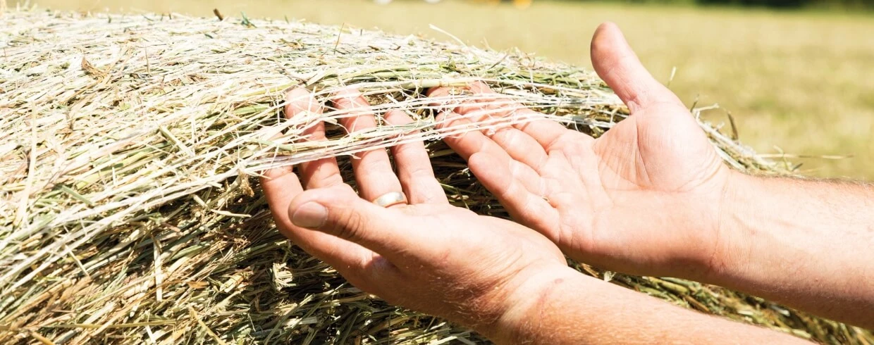 Pro-Belt™ Round Balers - NET WRAP SYSTEM