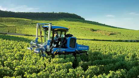 Grape Harvester Award New Holland