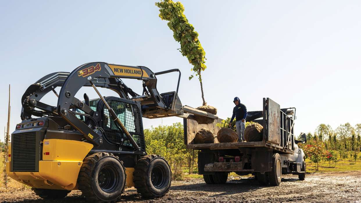 Skid steer loader lifting a tree.