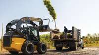 Skid steer loader lifting a tree.