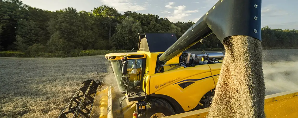 MEASURE FIELD OUTPUT