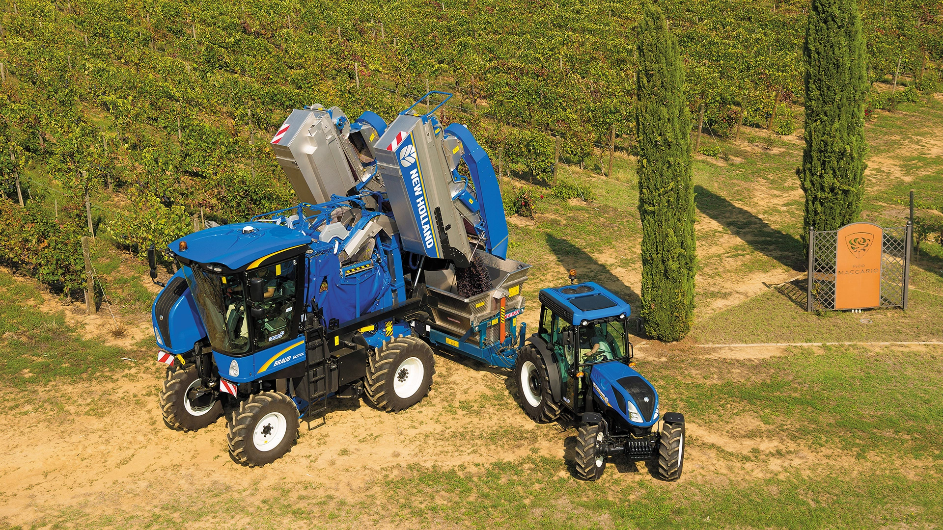 BRAUD 9090X Grape Harvester and New Holland's Tractor