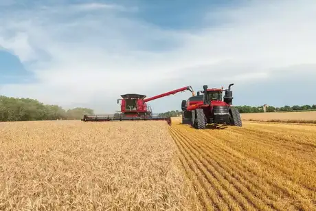 Steiger420 et Axial-Flow 8250_0302_08-18