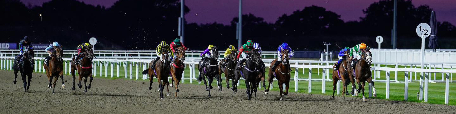 Chelmsford City Racecourse sponsorship New Holland