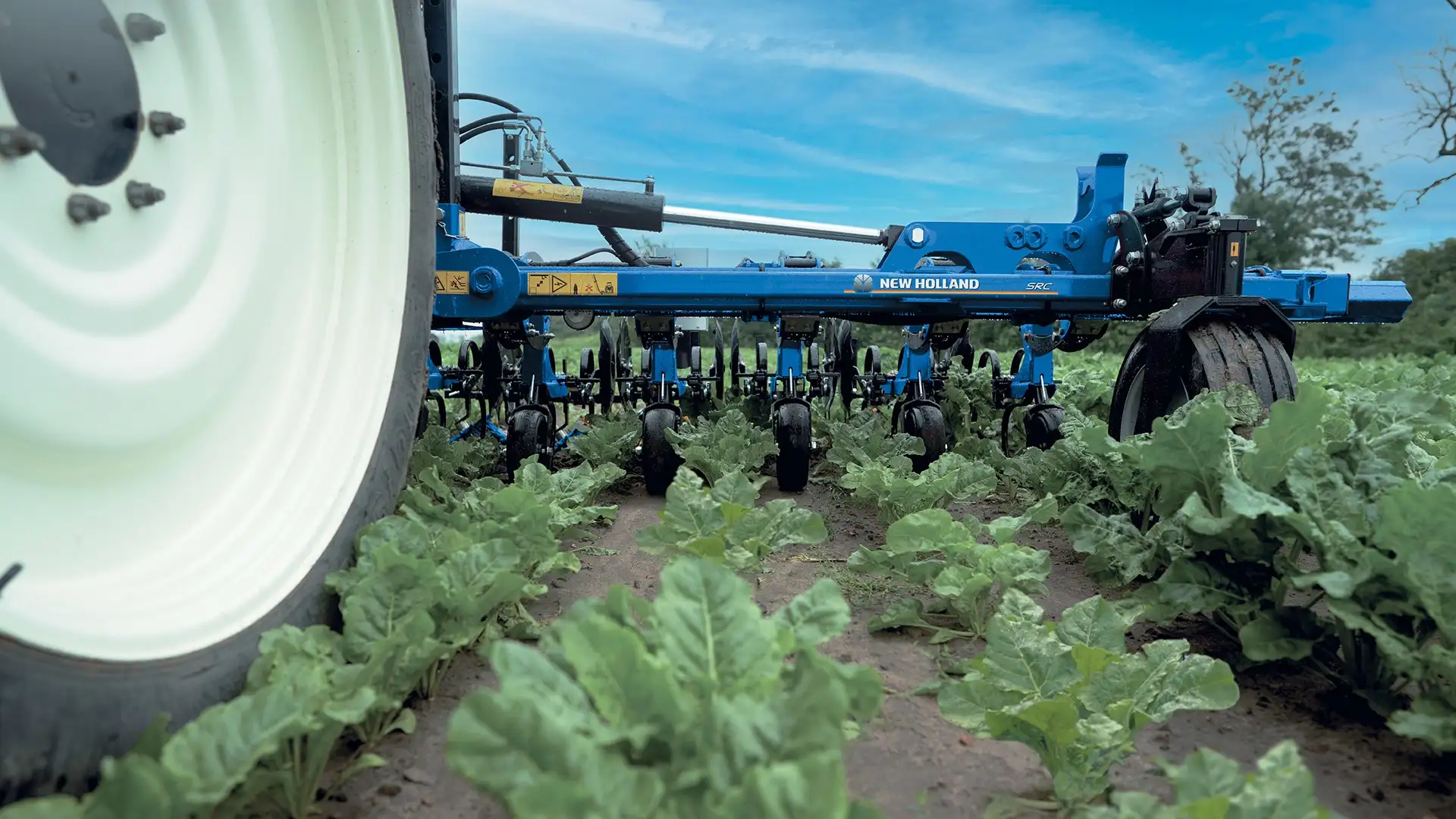 Utilizing Interrow Cultivators for sustainable weed control and soil cultivation in the field