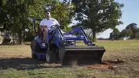 Texas Bees