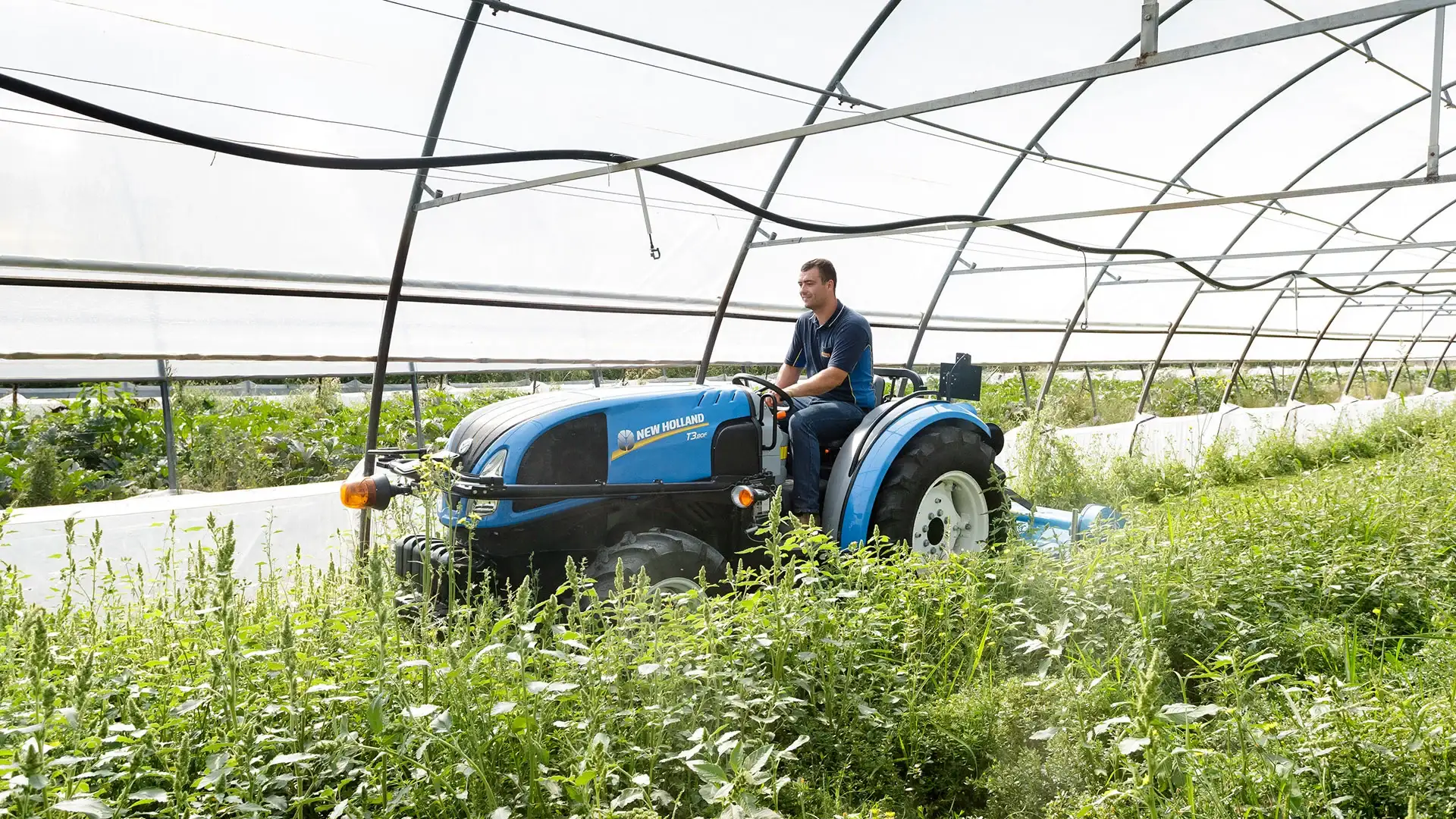 Man operates T3F Compact Specialty tractor in a greenhouse