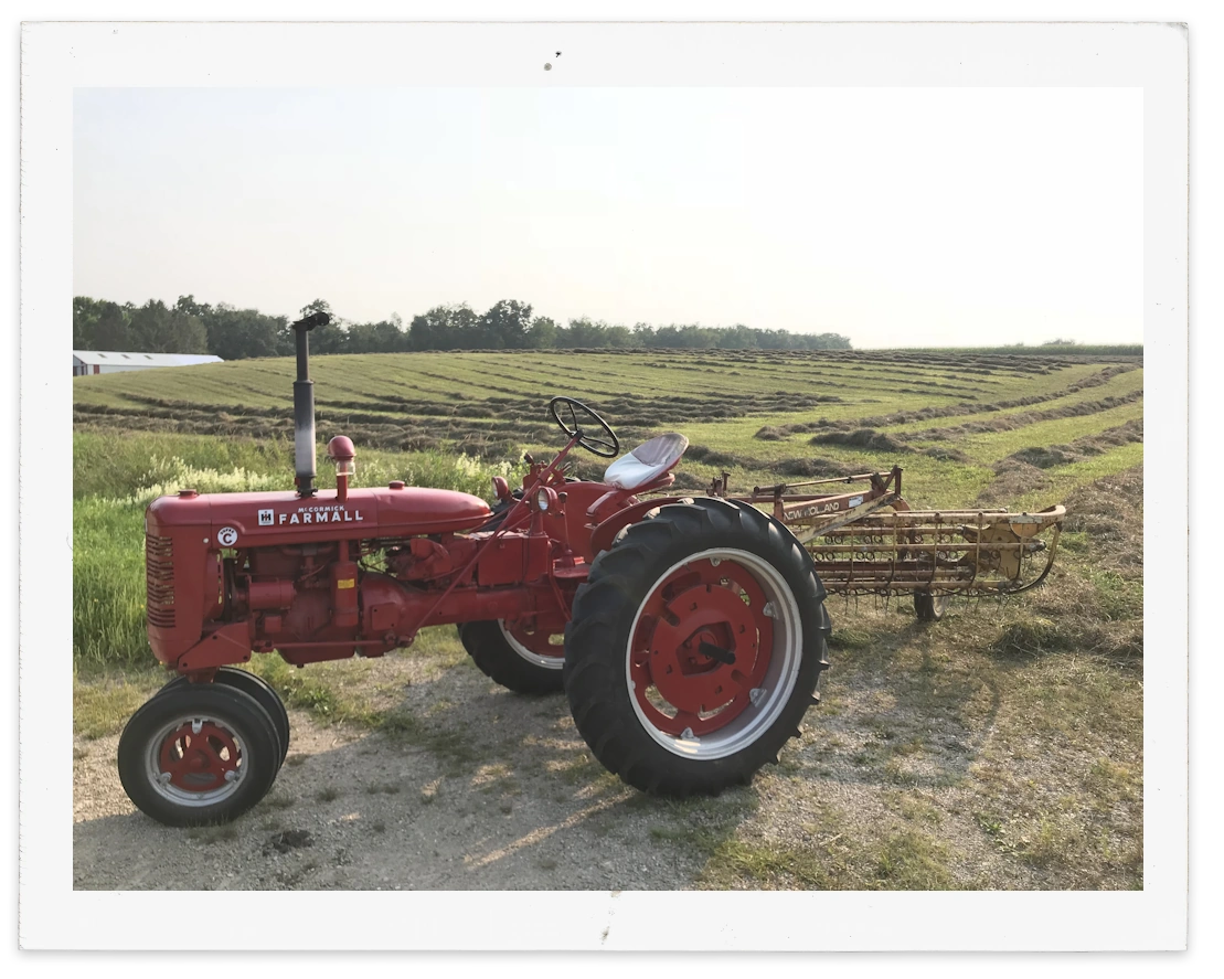 Vingtage Farmall series tractor standing against a vast field of crops