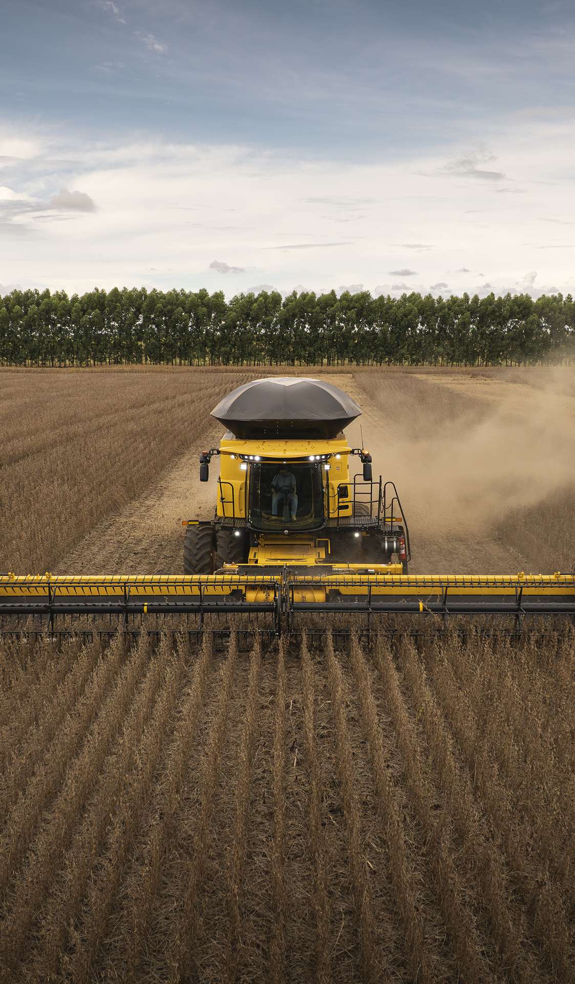 galeria retail cr7  8.jpg