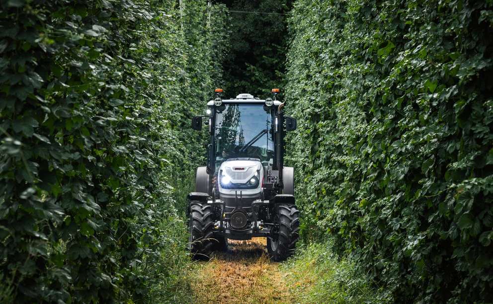 A white Steyr Spezial tractor driving down a narrow path between tall, dense walls of green crops.