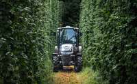 A white Steyr Spezial tractor driving down a narrow path between tall, dense walls of green crops.