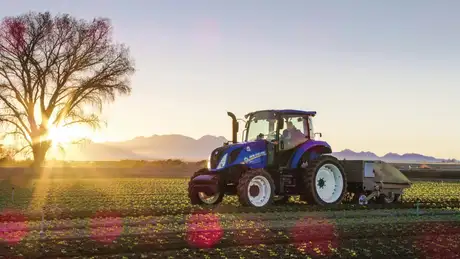 Stout Smart Cultivator in the field